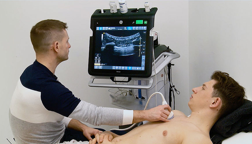 The perfect ‘points of view’:  The assessment of the lungs with ultrasound