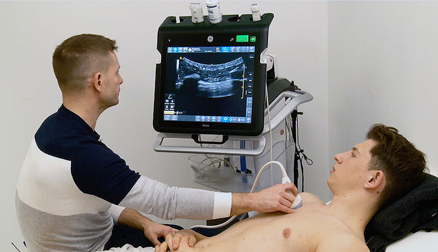 The perfect ‘points of view’:  The assessment of the lungs with ultrasound