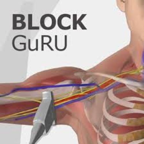  Guru Block Team